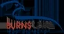 Burns Law